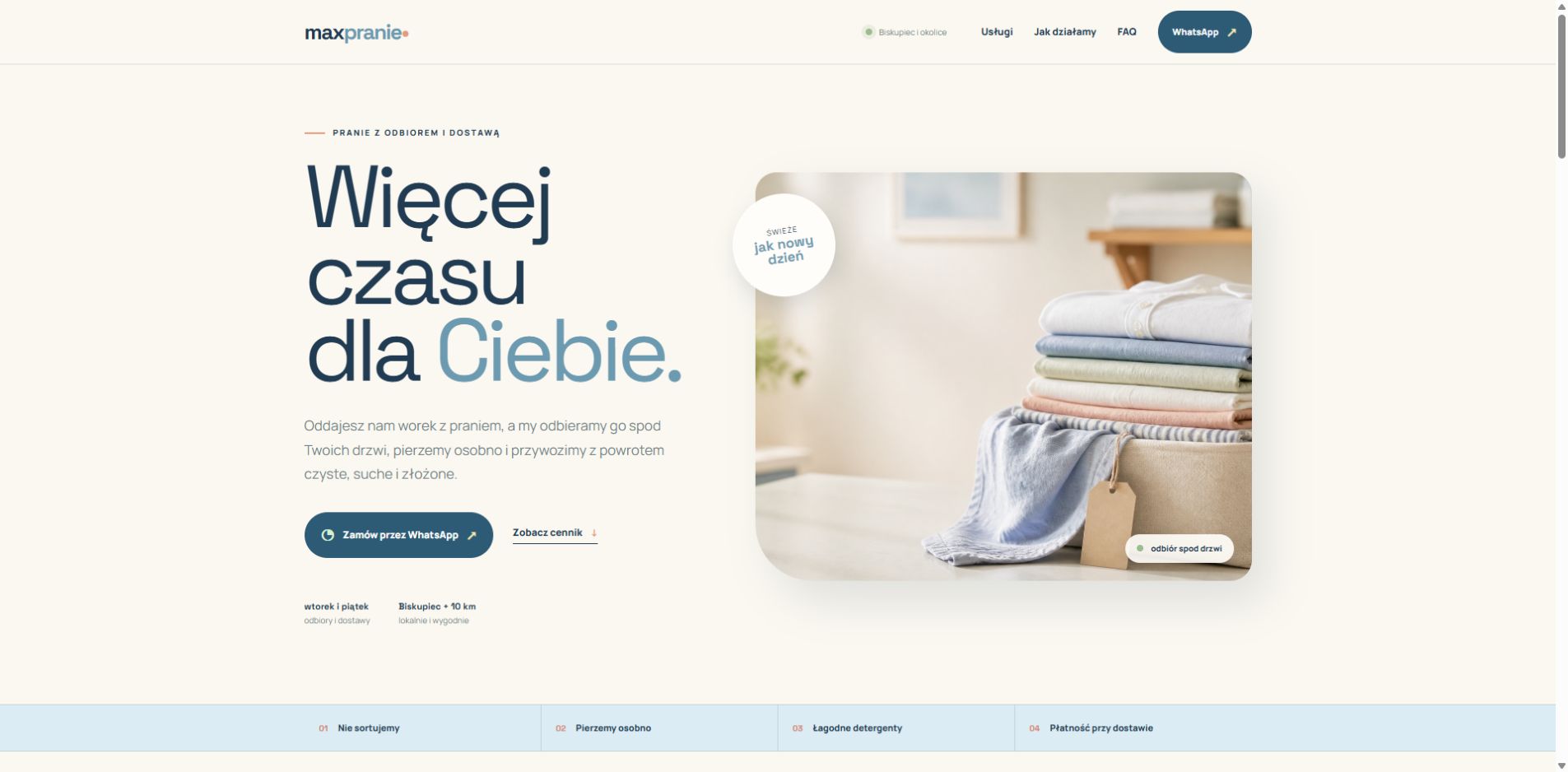 MaxPranie website preview